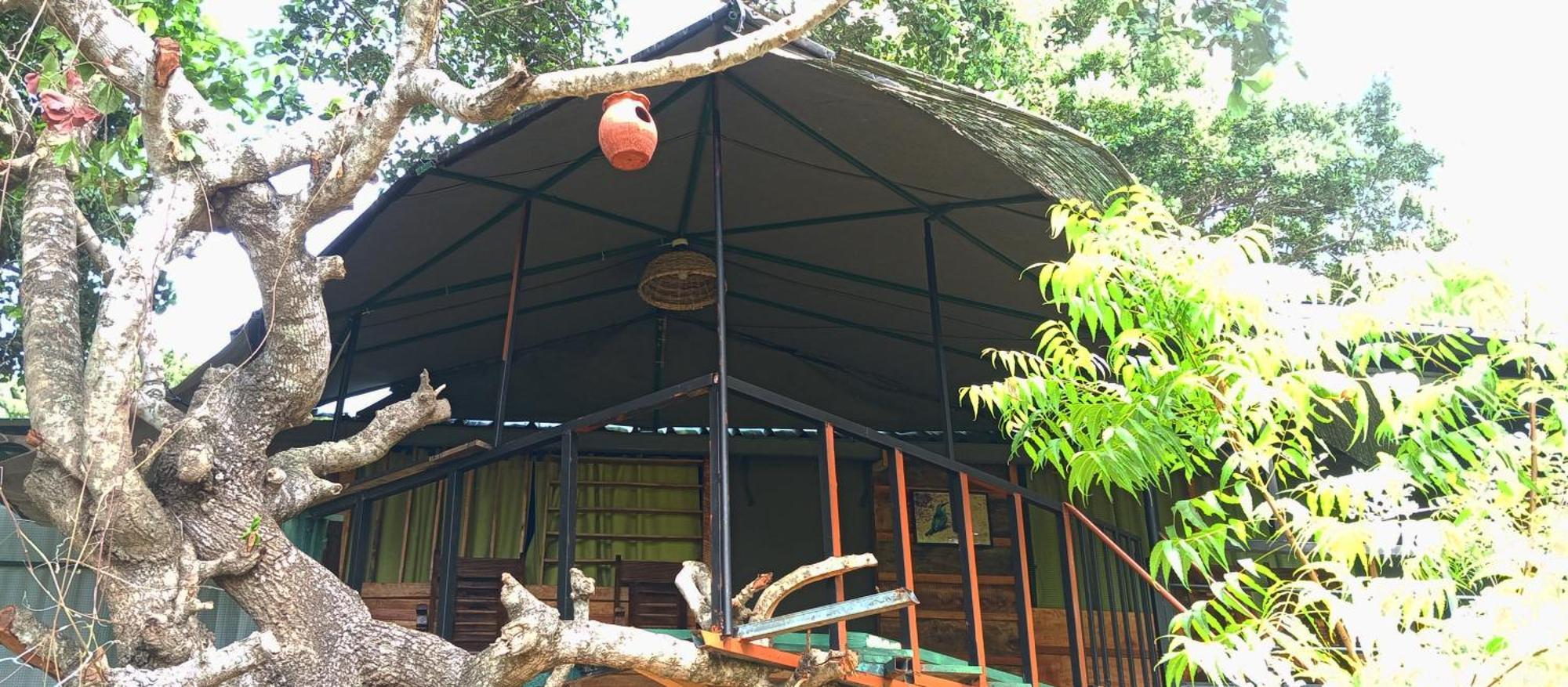 Jungle Cabin - Bundala Bundala Levagangoda Exterior photo